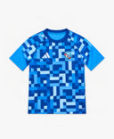 Junior Goalkeeper Pre-Match Jersey 26/27 - GREY